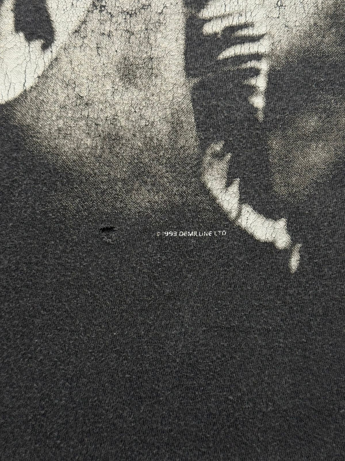 Makroaufnahme des gealterten Siebdrucks zur Echtheitsprüfung mit der sichtbaren Lizenzzeile „©1993 DEMILUNE LTD“ und einem winzigen Pinhole.